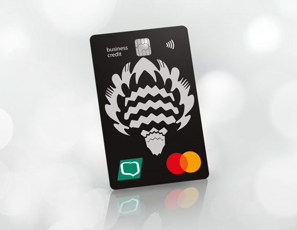 Visa Business Debetowa