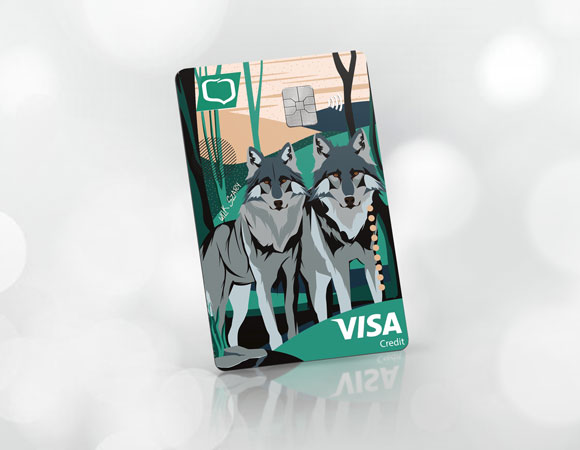 Karta kredytowa BPS Visa Credit