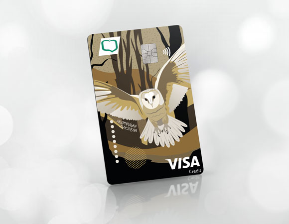 Karta kredytowa Visa Credit Gold