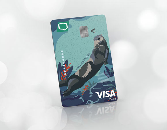 Visa Business EURO