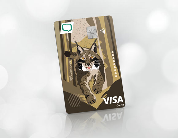 Visa Business EURO