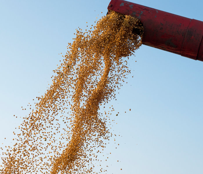 Szybka inwestycja AGRO
