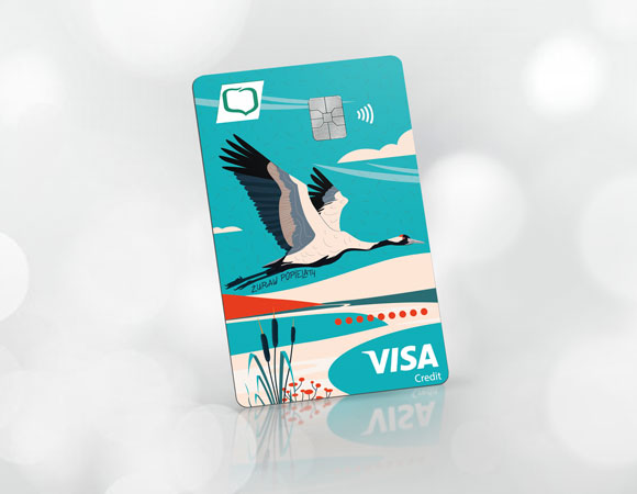 Karta kredytowa Visa Credit